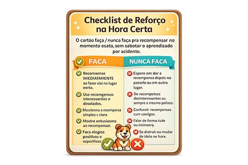 Mockup do Checklist de Reforço na Hora Certa